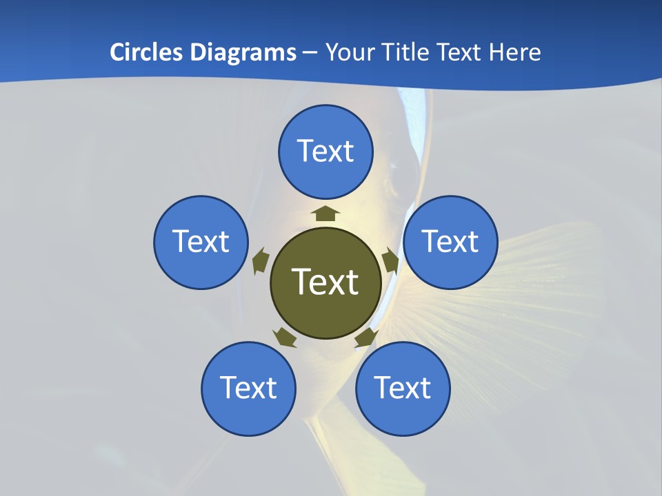 Coral Fish Exotic Diving PowerPoint Template