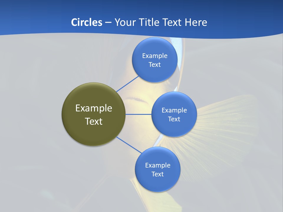 Coral Fish Exotic Diving PowerPoint Template