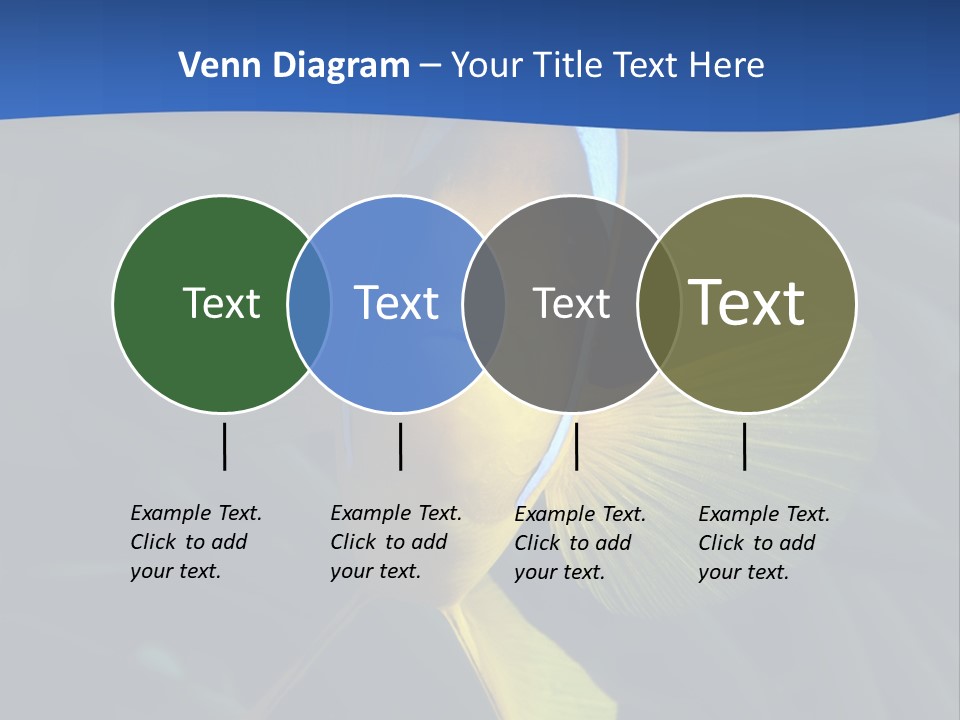 Coral Fish Exotic Diving PowerPoint Template