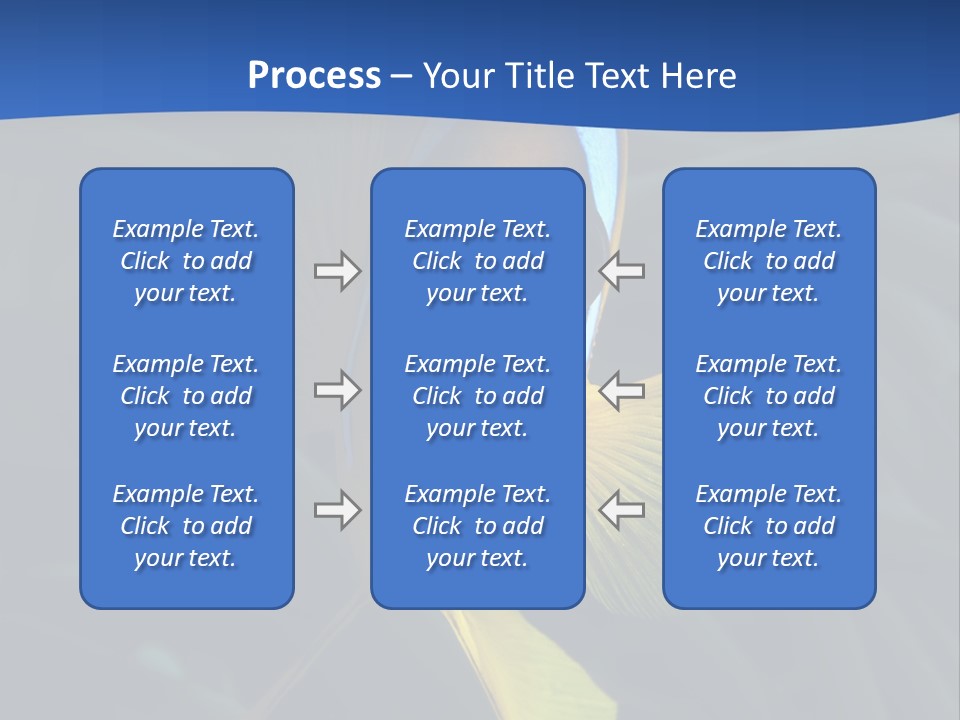 Coral Fish Exotic Diving PowerPoint Template