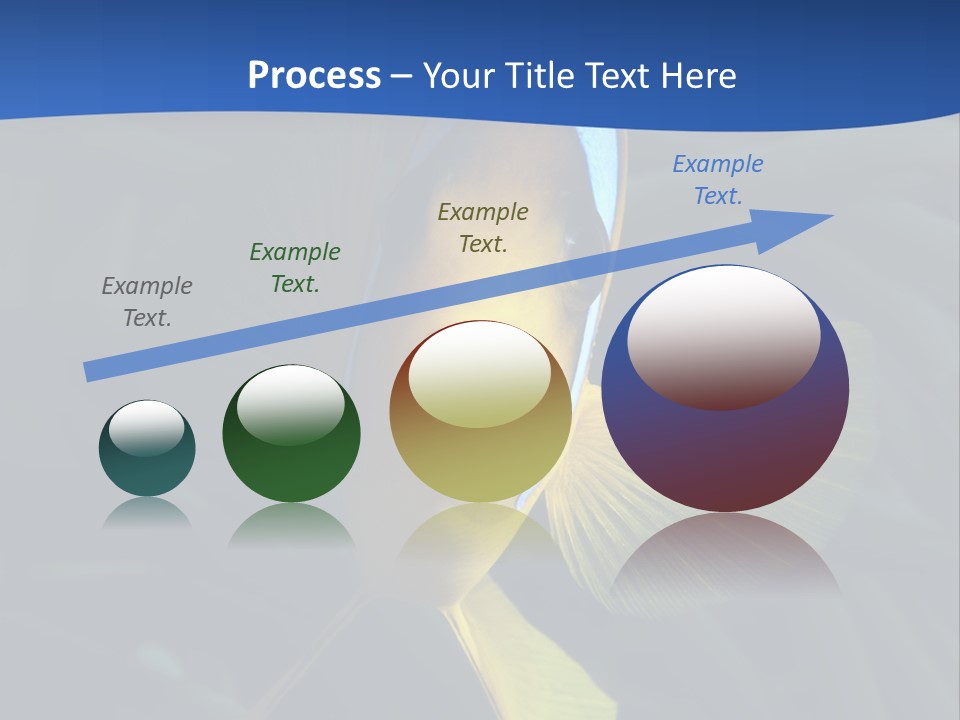 Coral Fish Exotic Diving PowerPoint Template