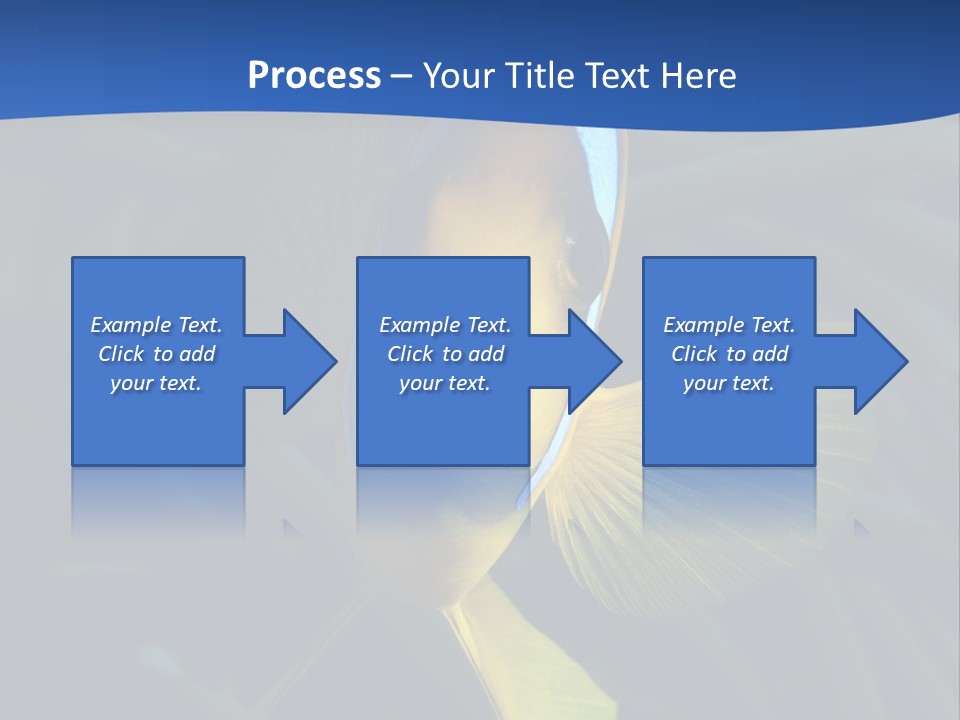 Coral Fish Exotic Diving PowerPoint Template