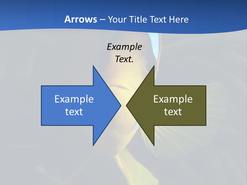 Coral Fish Exotic Diving PowerPoint Template