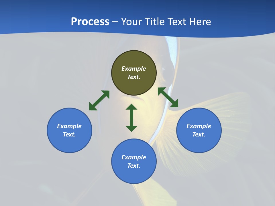 Coral Fish Exotic Diving PowerPoint Template