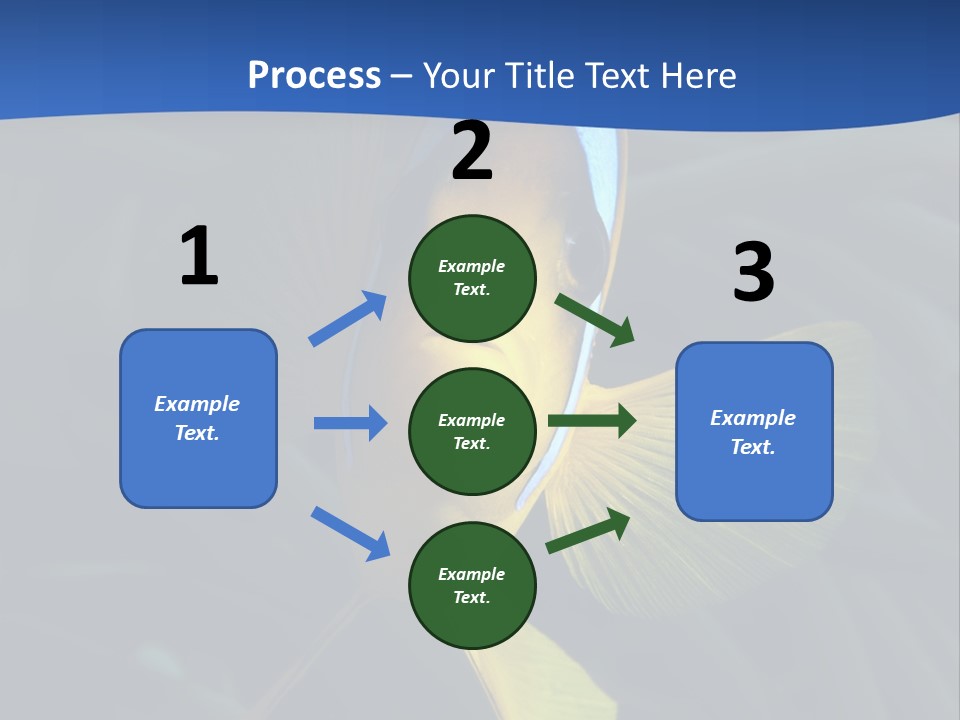 Coral Fish Exotic Diving PowerPoint Template