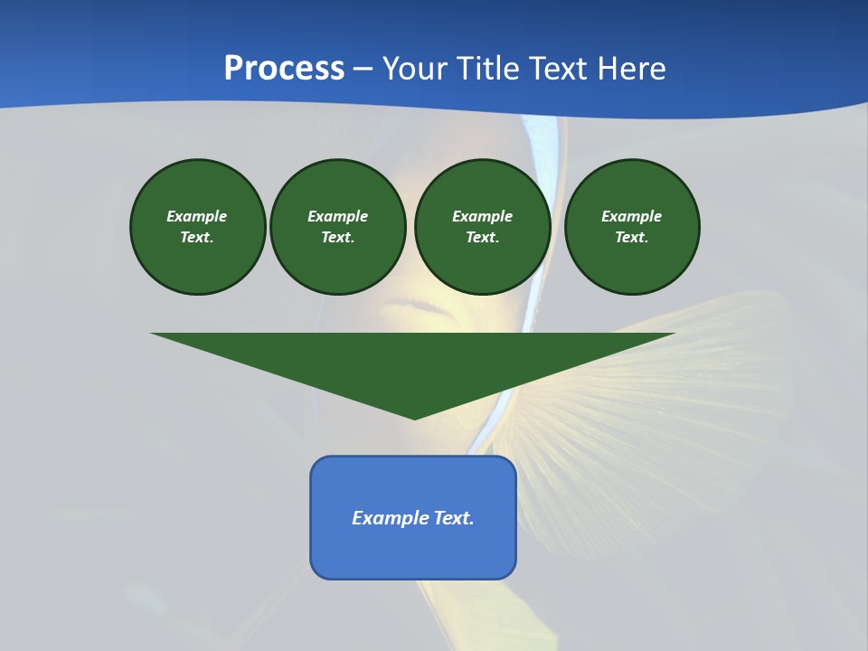 Coral Fish Exotic Diving PowerPoint Template