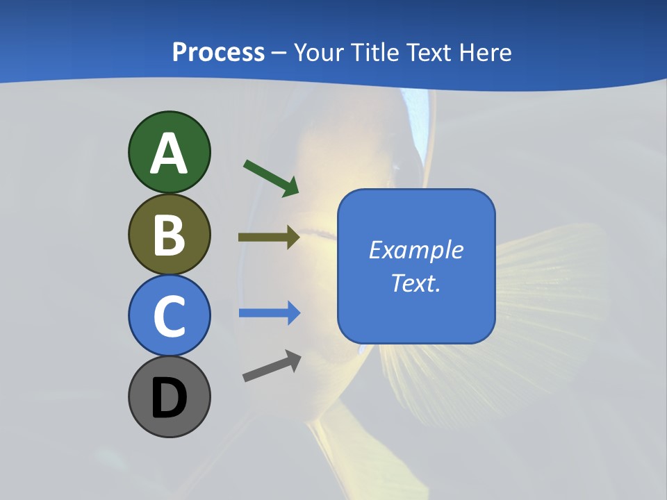 Coral Fish Exotic Diving PowerPoint Template