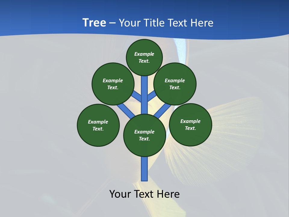 Coral Fish Exotic Diving PowerPoint Template