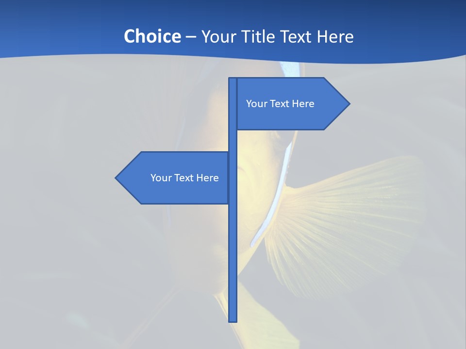 Coral Fish Exotic Diving PowerPoint Template