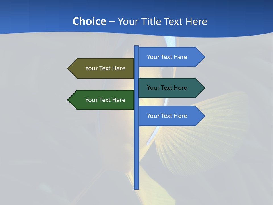 Coral Fish Exotic Diving PowerPoint Template
