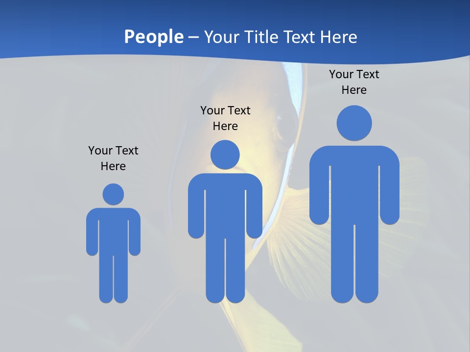 Coral Fish Exotic Diving PowerPoint Template