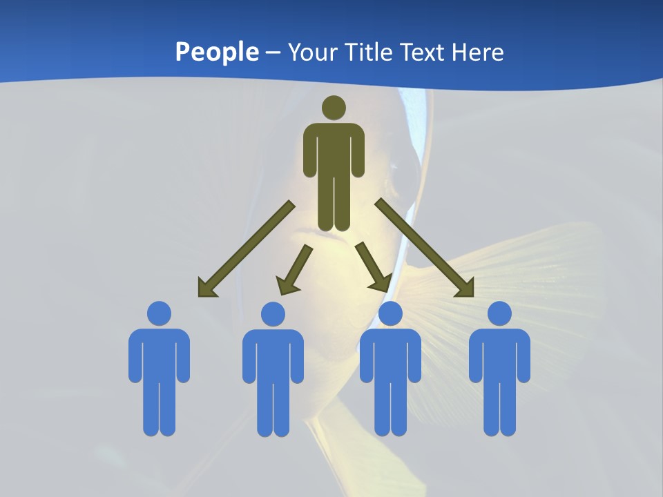 Coral Fish Exotic Diving PowerPoint Template