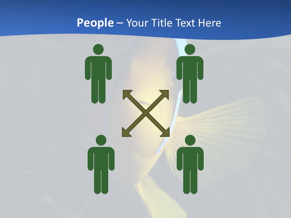 Coral Fish Exotic Diving PowerPoint Template