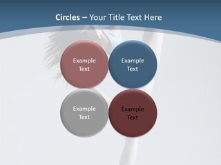 Theatrical Ballet Classical PowerPoint Template