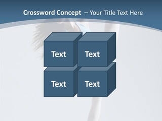 Theatrical Ballet Classical PowerPoint Template