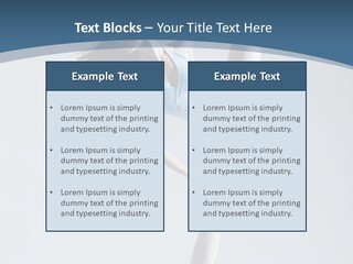 Theatrical Ballet Classical PowerPoint Template