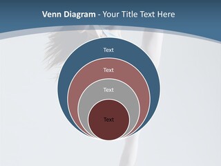 Theatrical Ballet Classical PowerPoint Template