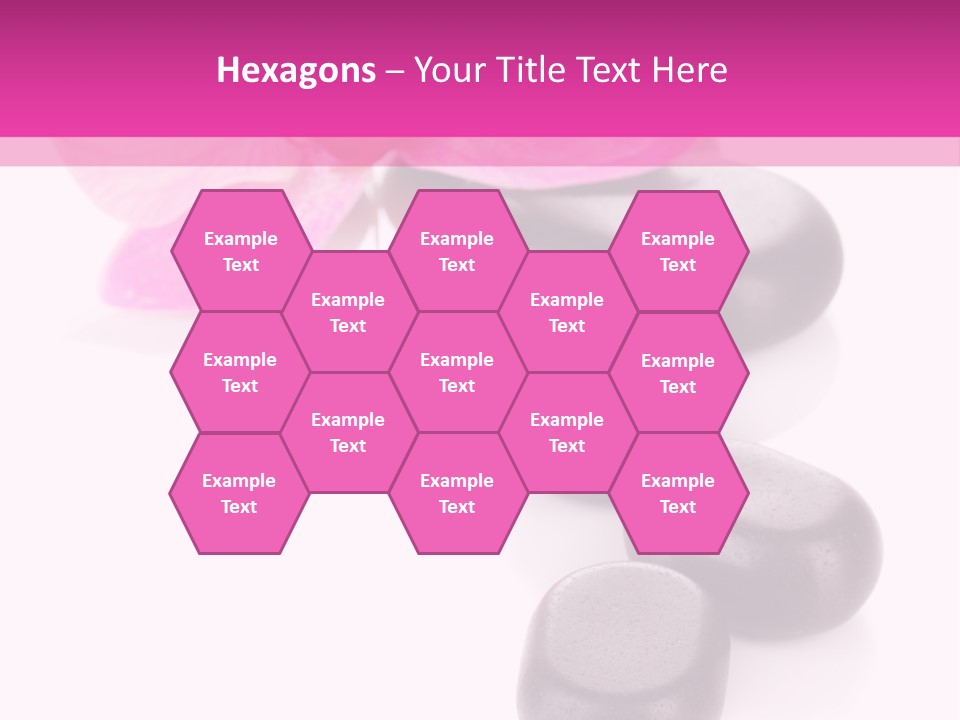 Asian Phalenopsis Stack PowerPoint Template