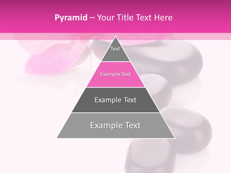 Asian Phalenopsis Stack PowerPoint Template