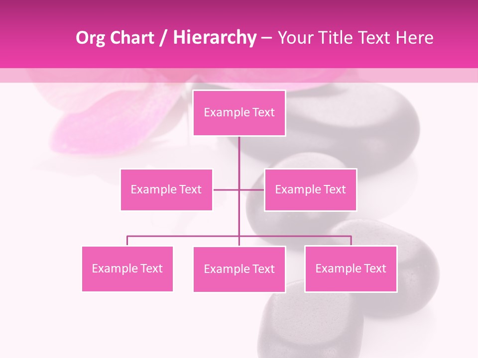 Asian Phalenopsis Stack PowerPoint Template