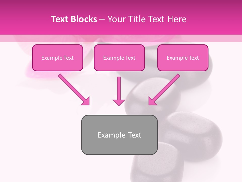 Asian Phalenopsis Stack PowerPoint Template