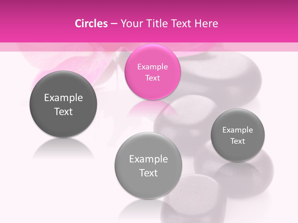 Asian Phalenopsis Stack PowerPoint Template