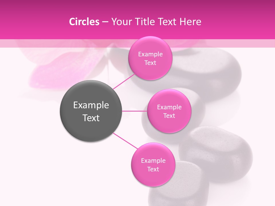 Asian Phalenopsis Stack PowerPoint Template