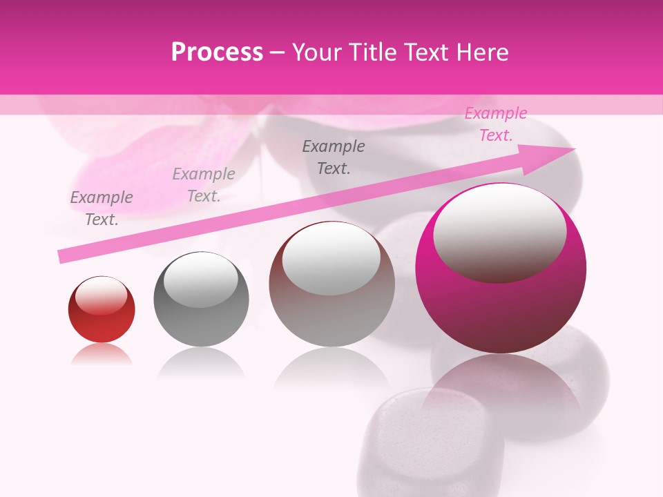 Asian Phalenopsis Stack PowerPoint Template