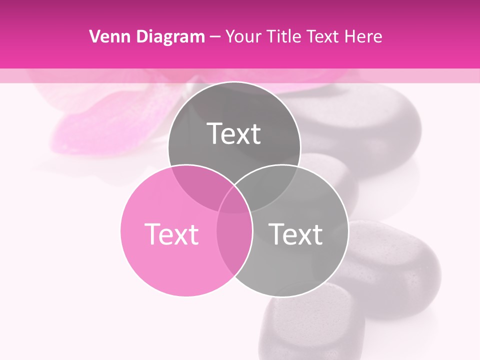 Asian Phalenopsis Stack PowerPoint Template