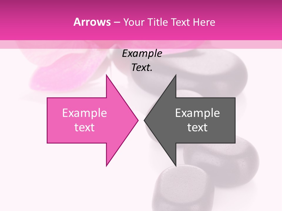 Asian Phalenopsis Stack PowerPoint Template