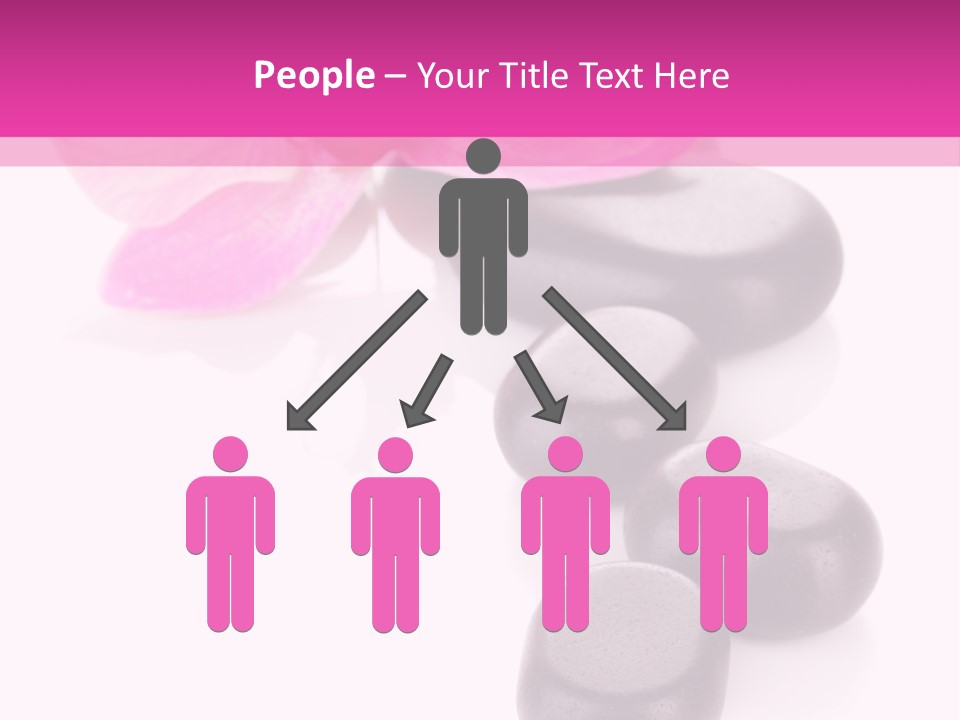 Asian Phalenopsis Stack PowerPoint Template