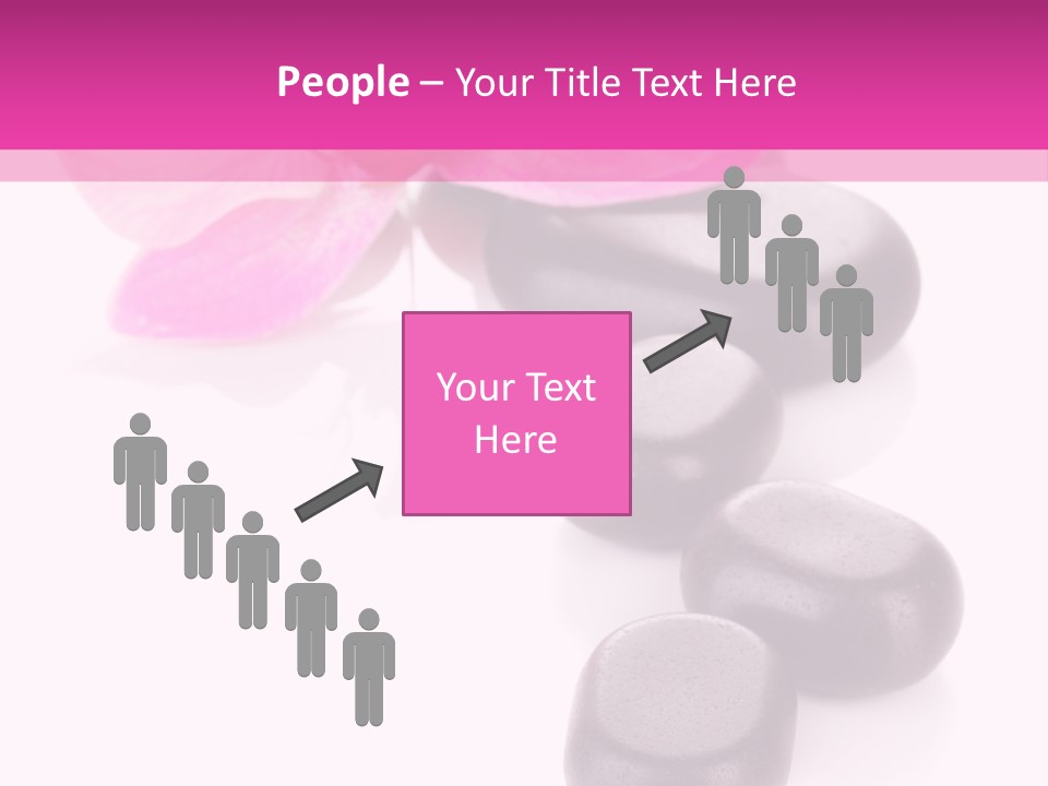 Asian Phalenopsis Stack PowerPoint Template