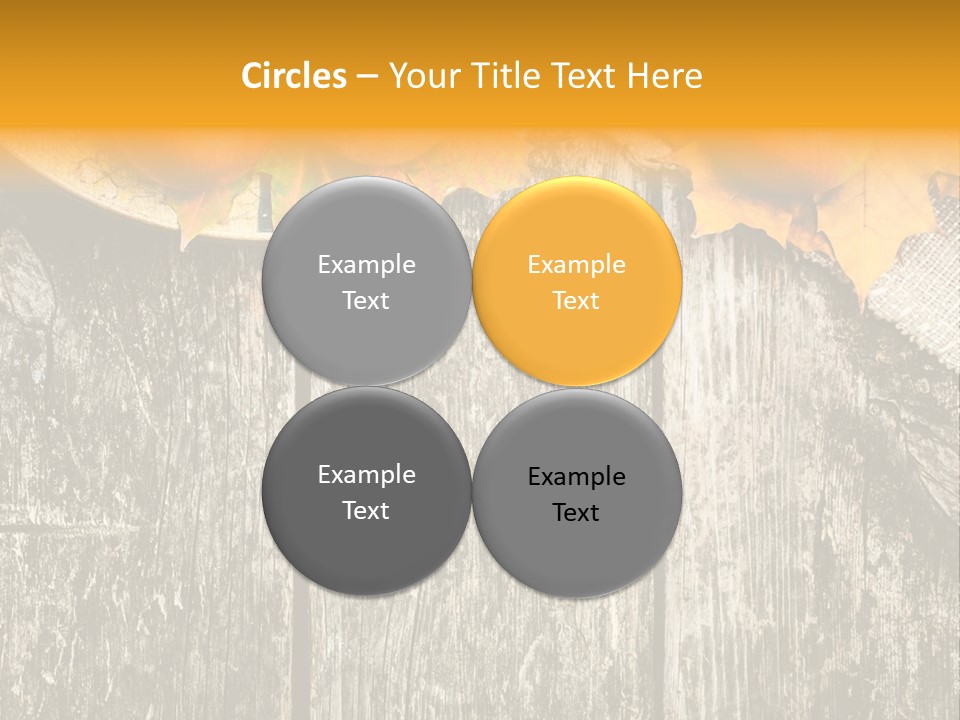 Design Sacking Rich PowerPoint Template