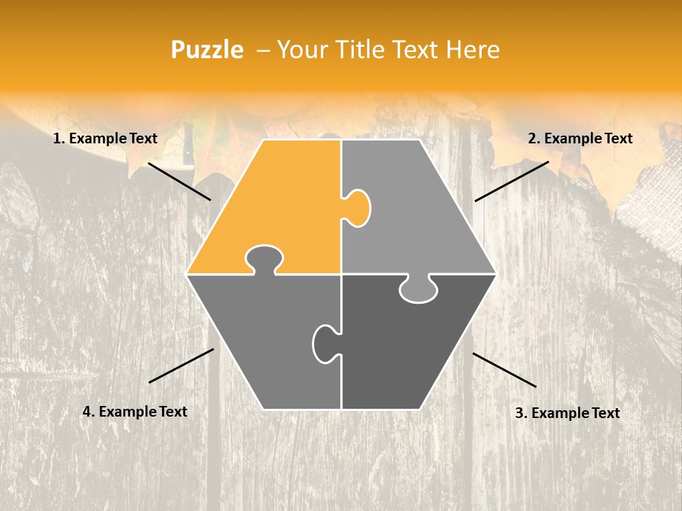 Design Sacking Rich PowerPoint Template