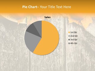 Design Sacking Rich PowerPoint Template