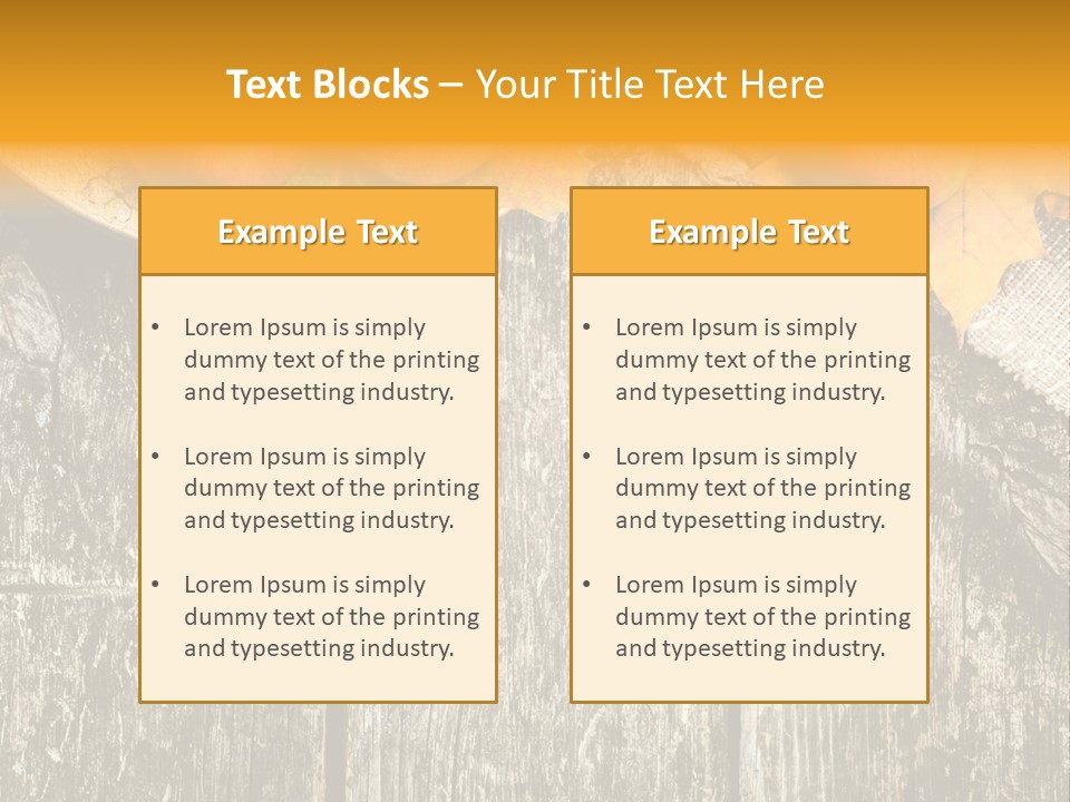 Design Sacking Rich PowerPoint Template