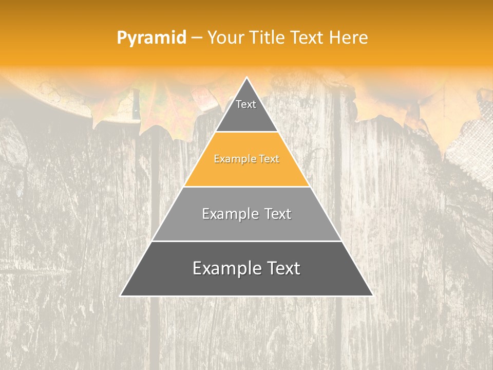Design Sacking Rich PowerPoint Template