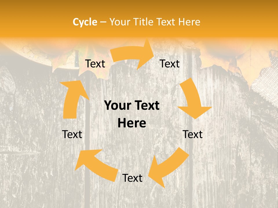 Design Sacking Rich PowerPoint Template