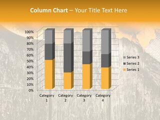 Design Sacking Rich PowerPoint Template