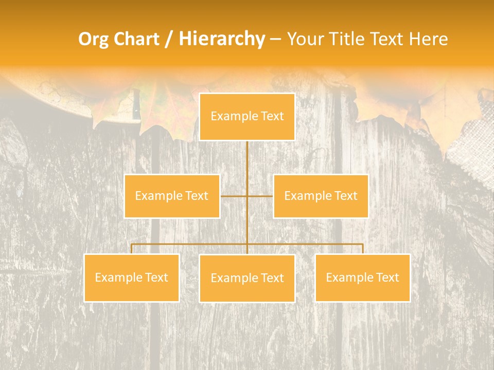 Design Sacking Rich PowerPoint Template