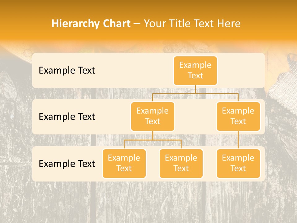 Design Sacking Rich PowerPoint Template