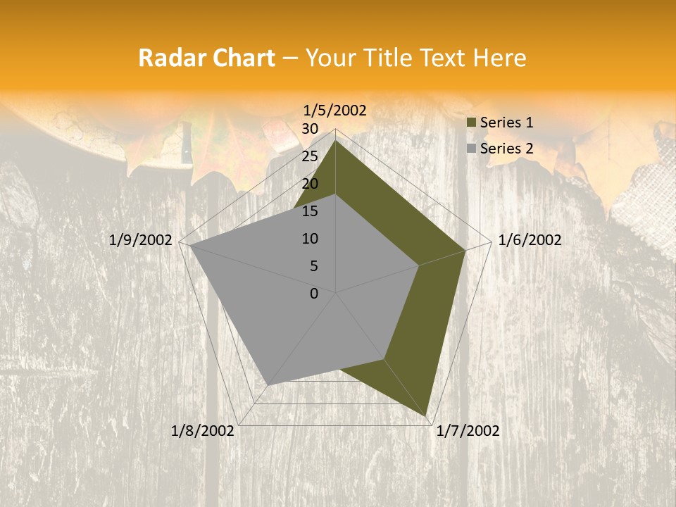 Design Sacking Rich PowerPoint Template