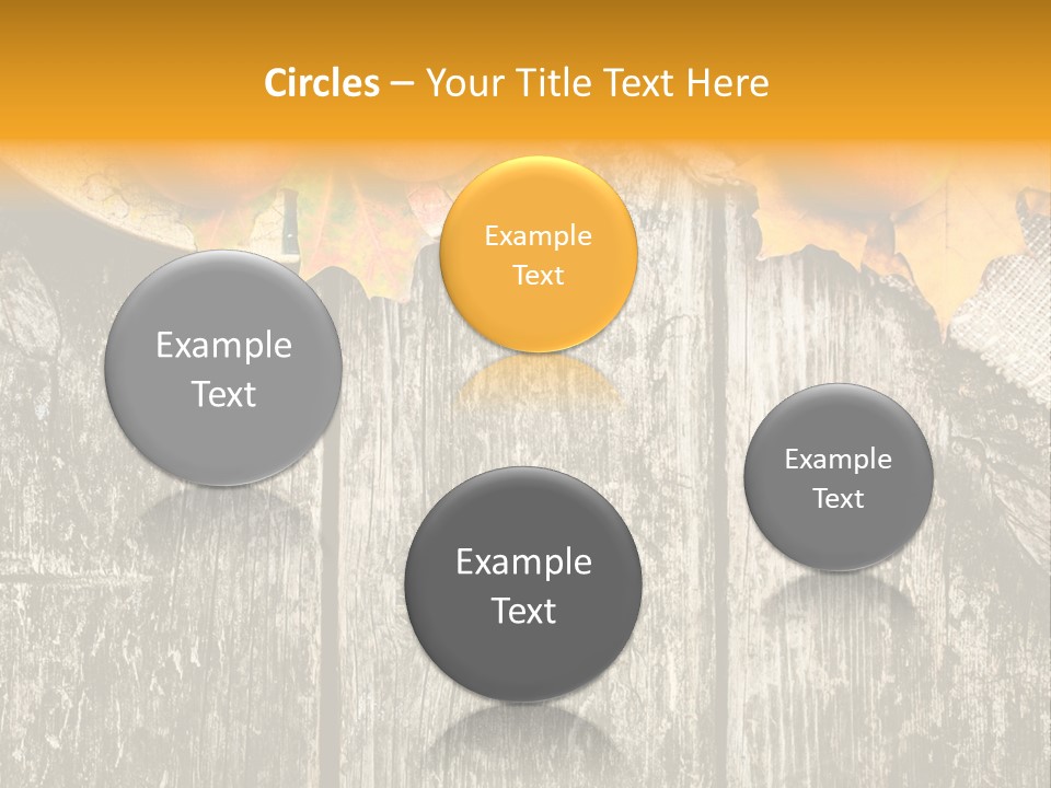 Design Sacking Rich PowerPoint Template