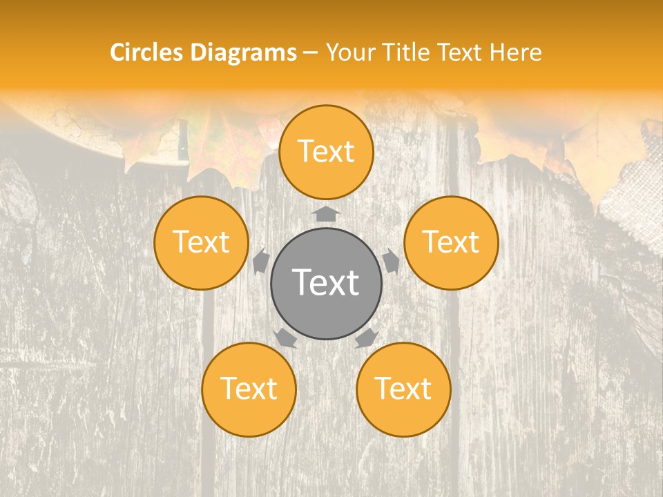 Design Sacking Rich PowerPoint Template