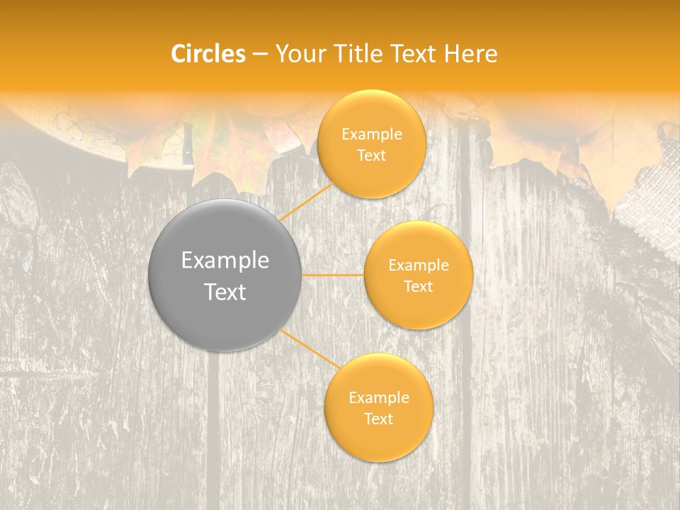 Design Sacking Rich PowerPoint Template