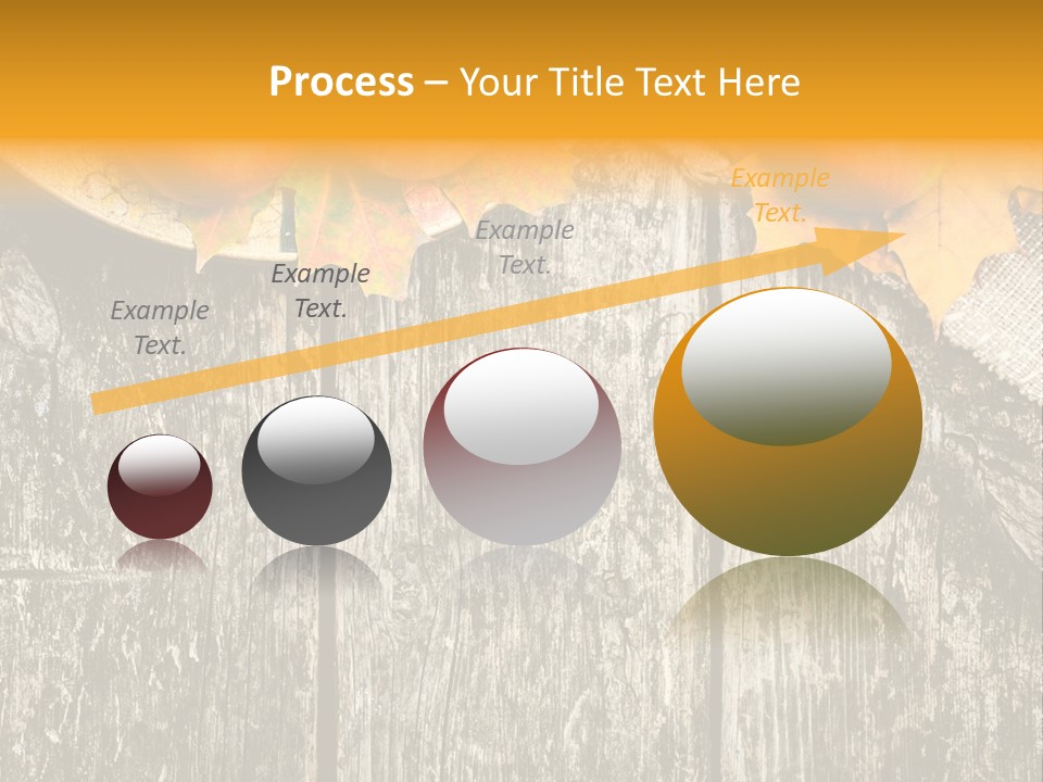 Design Sacking Rich PowerPoint Template