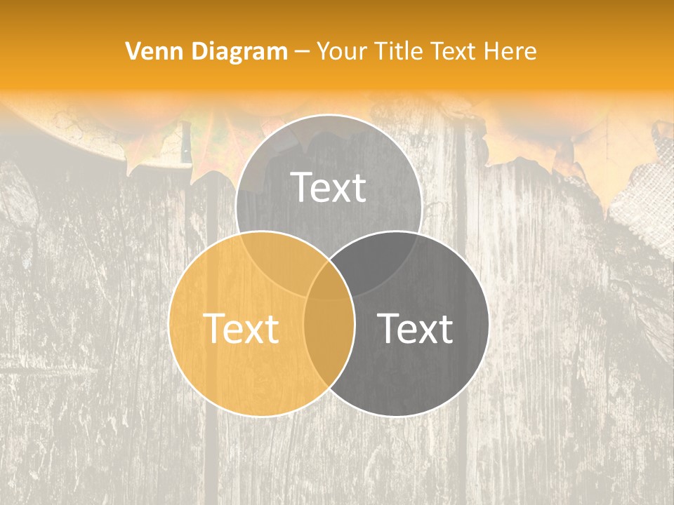 Design Sacking Rich PowerPoint Template