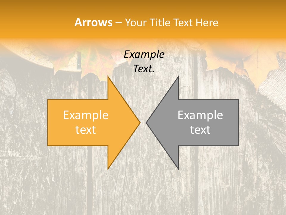 Design Sacking Rich PowerPoint Template