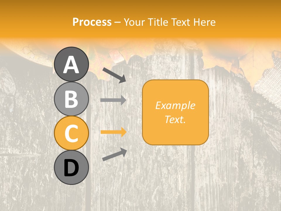 Design Sacking Rich PowerPoint Template