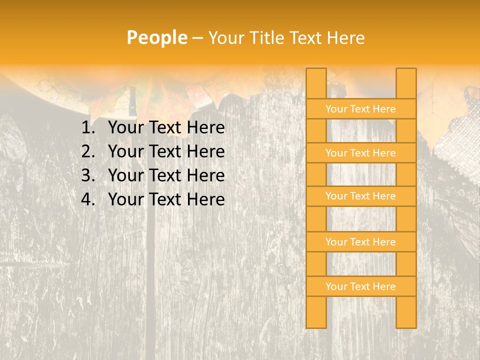 Design Sacking Rich PowerPoint Template